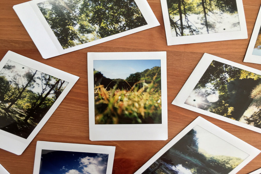 Photo Gallery